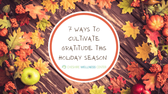 Cultivate Gratitude This Holiday Season