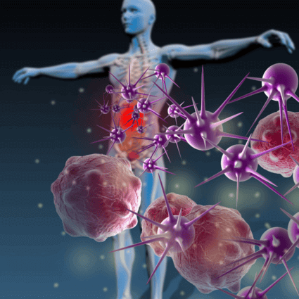 enhance your immune system