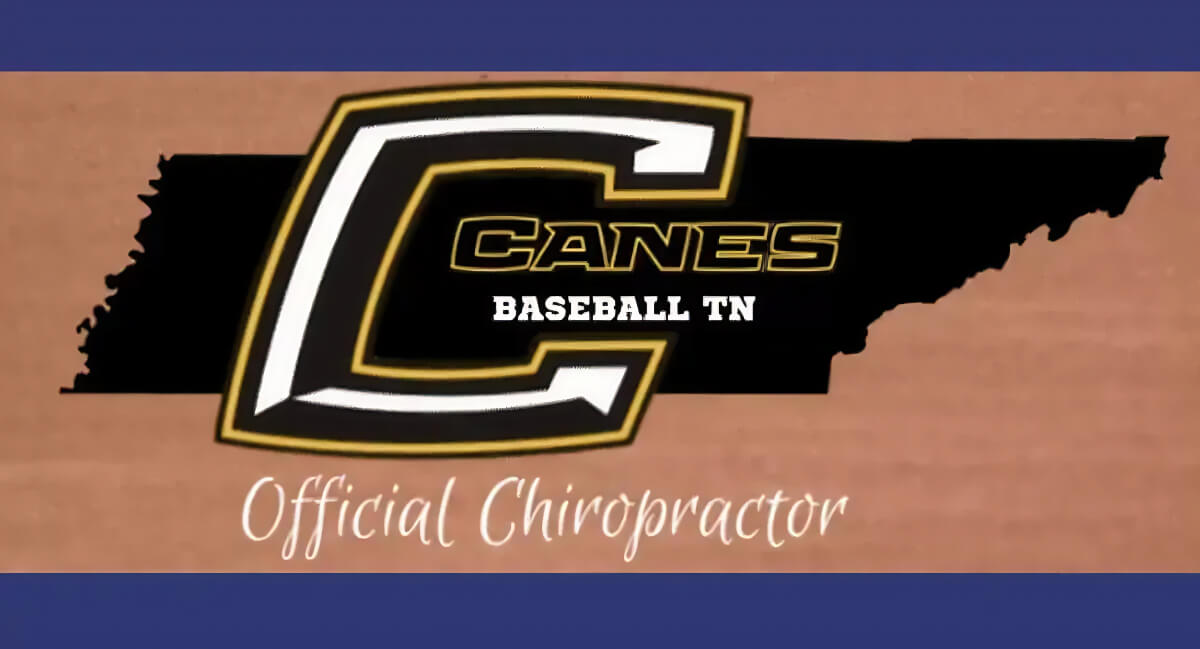 Nashville baseball team