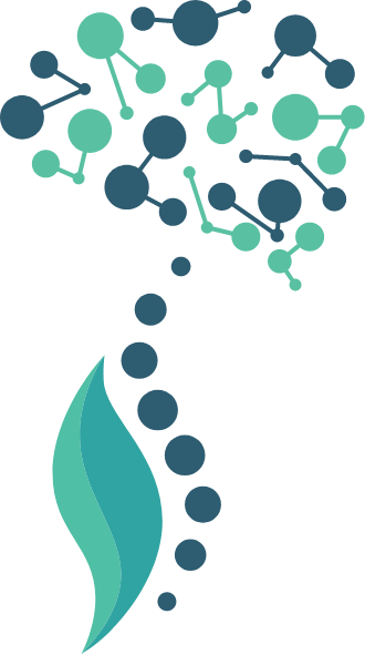 Brain Based Chiropractic Center logo