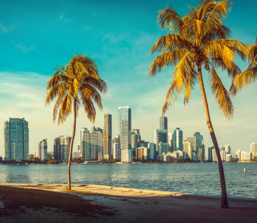 beachfront view with a city in the background
