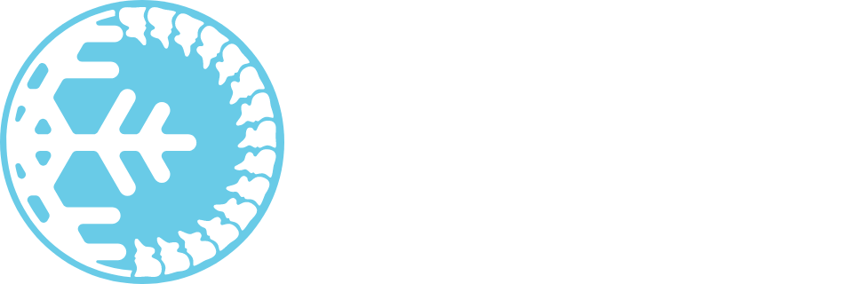 Cryo & Chiro Wellness Center logo - Home