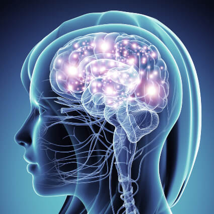 illustration of brain with activity
