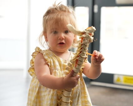 Little girl holding spine model