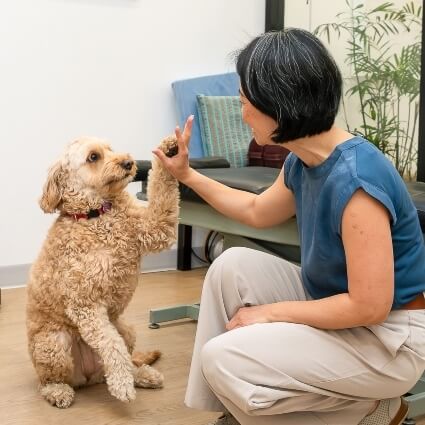 Dr Irene playing with Frankie