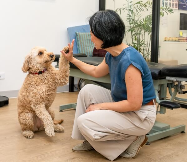 Lindfield chiropractor Dr Irene giving Frankie a high five