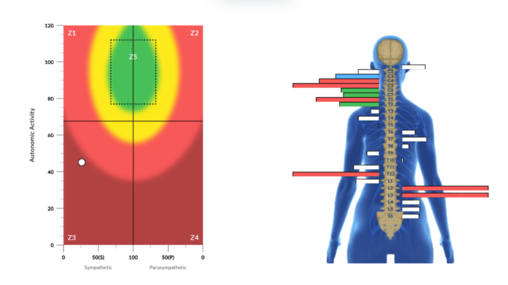 Screen Shot 2025-10-14 at 12.31.44 PM