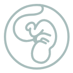 pregnancy banner
