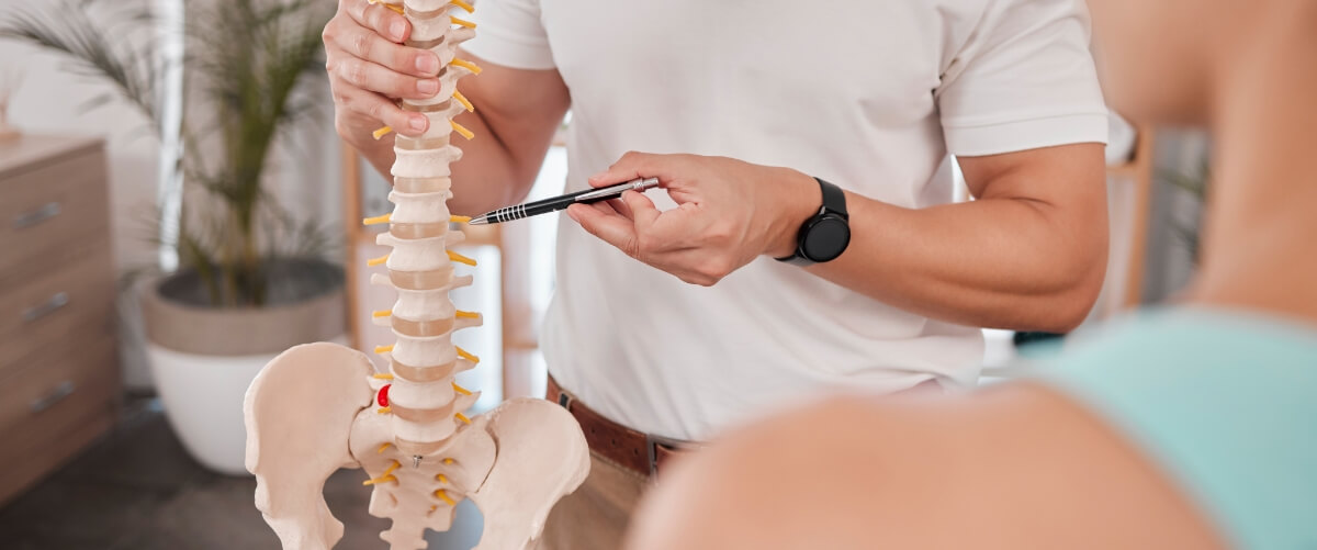 Pointing spine model