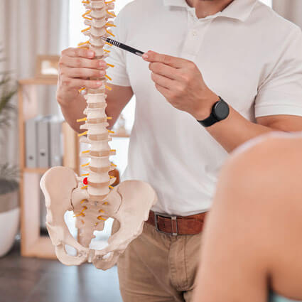 Pointing at spine model