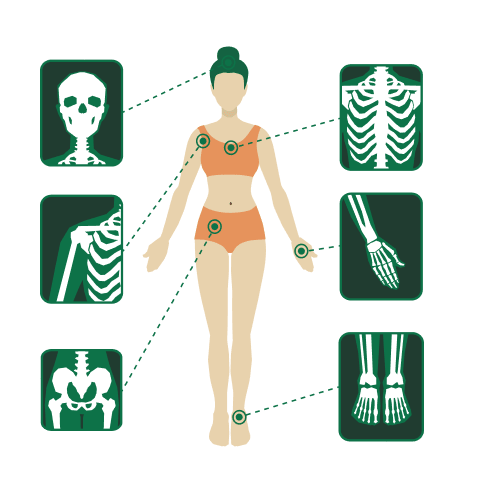 illustration of body scans and xrays