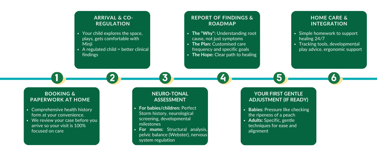 Chirosanctuary flowchart