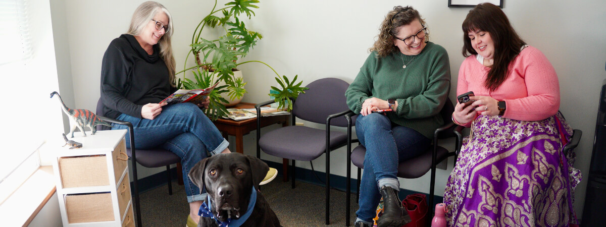 Folweiler Chiropractic patient reception area
