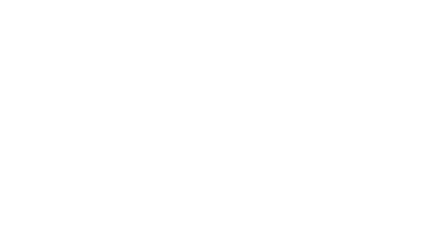 Sea One Family Chiropractic logo - footer