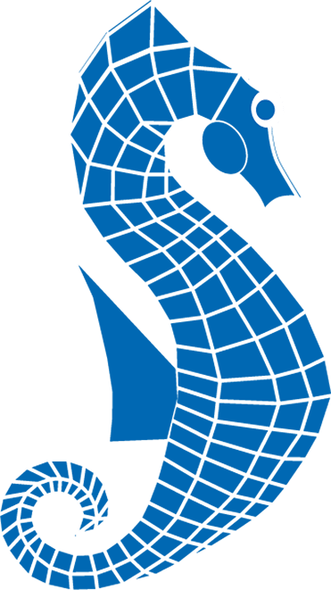 Sea One Family Chiropractic logo graphic