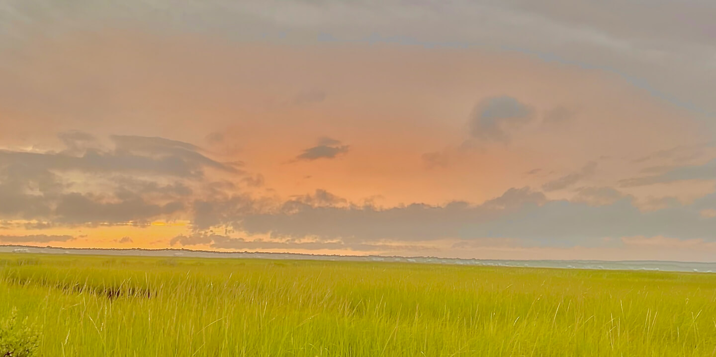 landscape field photo