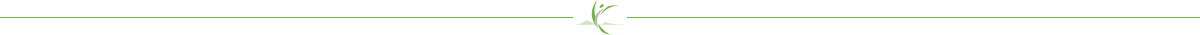 divider