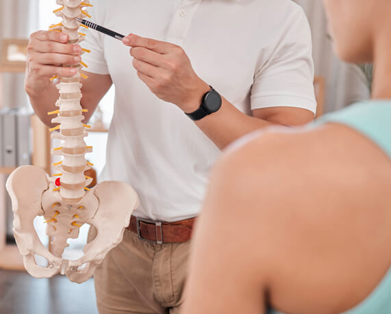 practitioner pointing at a model of a spine