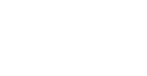 Spring Ridge Chiropractic of Boonsboro, LLC
