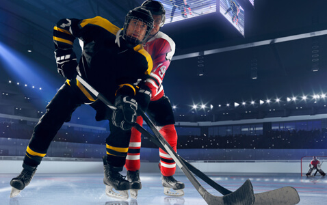 Two ice hockey players