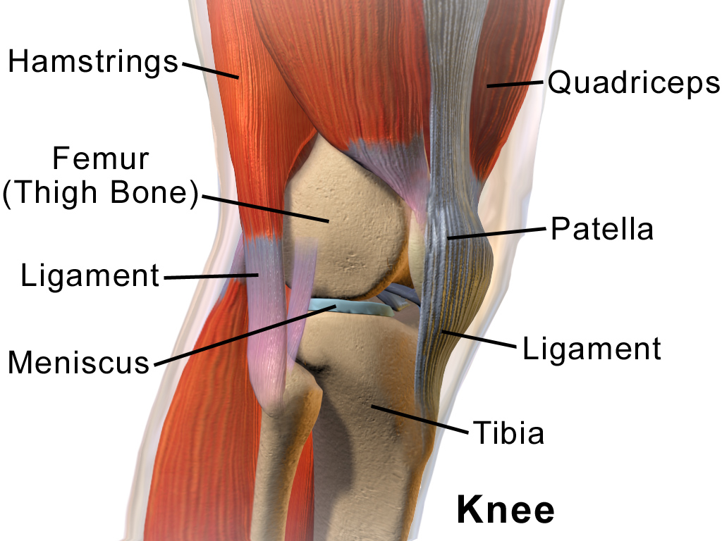 Runner's Knee