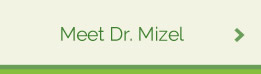 Meet Dr. Mizel