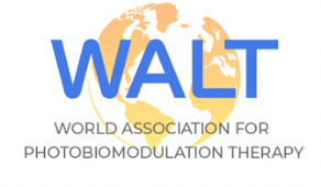 Walt logo