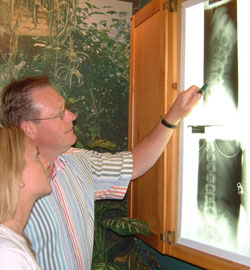  will review x-rays with you on your second visit.