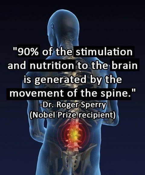 Chiropractic Care  Preferred Chiropractic