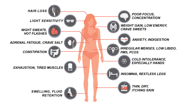 Effects of Hormone System Imbalance