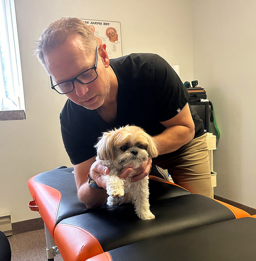 doctor adjusting puppy