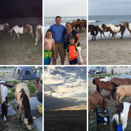 Assateague