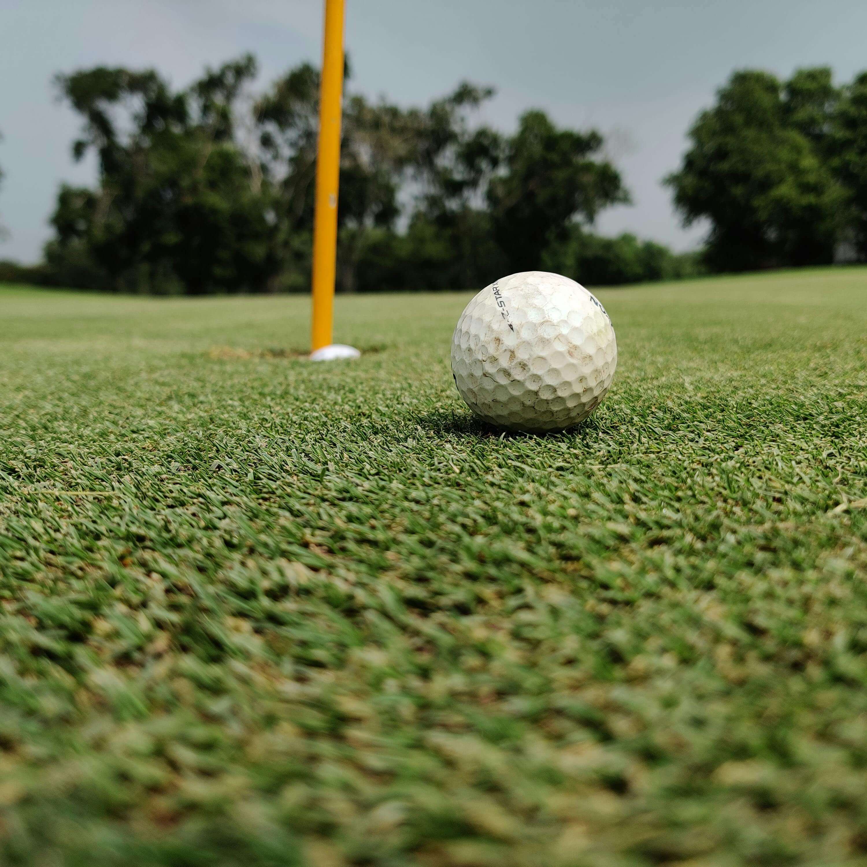 Golf ball near the hole on a lush green course in New Delhi, India, perfect for sports visuals.