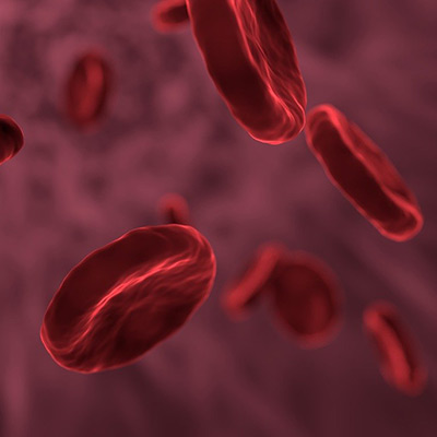 illustration of red blood cells