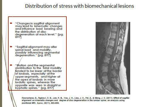 distribution-of-stress