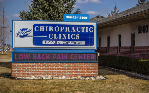 Goss Chiropractic Clinics Office Tour Sterling Heights MI