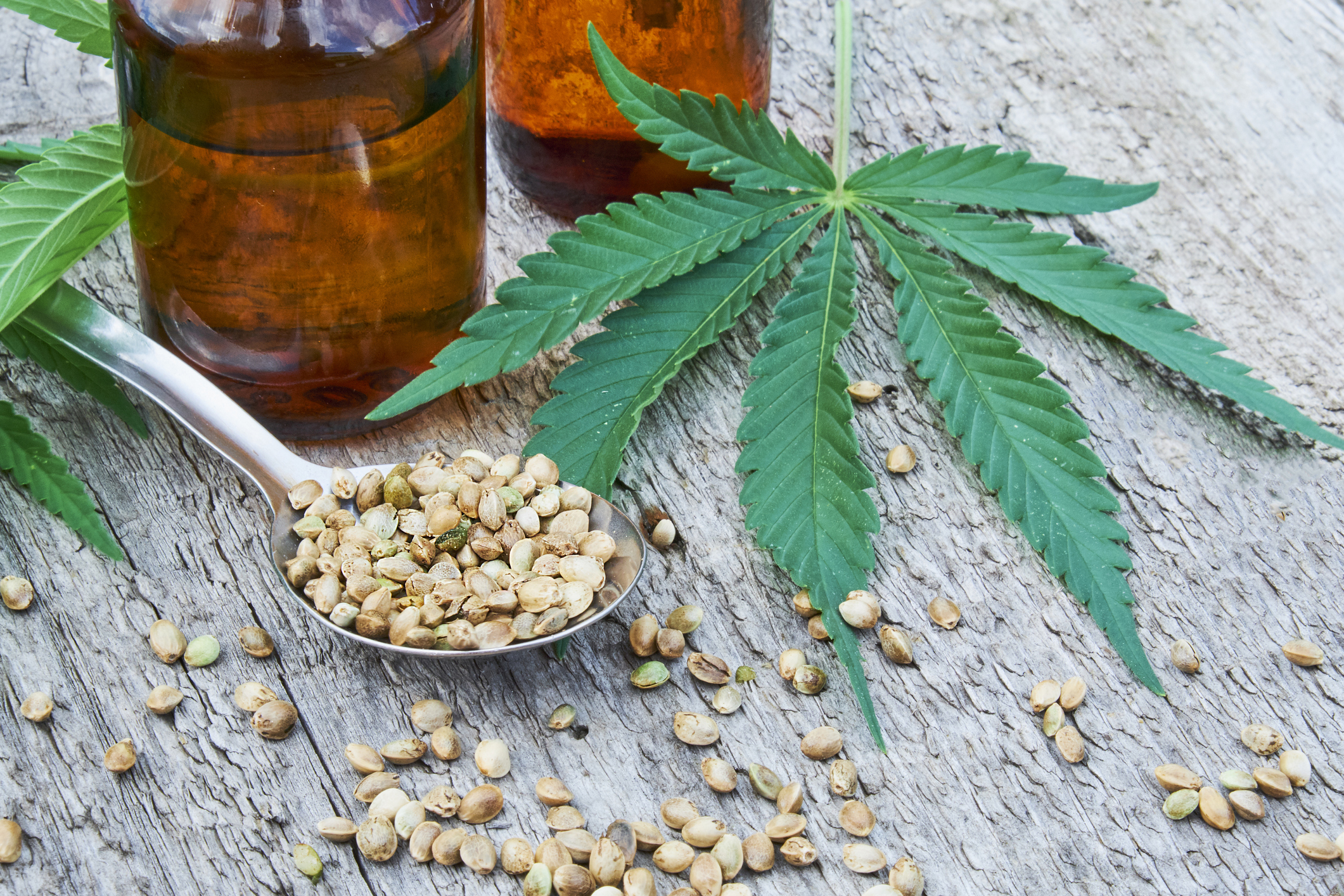 hemp leaves, seeds, cannabis oil extracts in jars