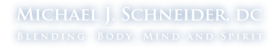 Michael J. Schneider, DC logo - Home