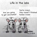 Lab Mice on Vaccines
