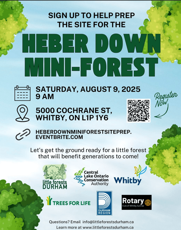 Help with Mini Forest in Brooklin