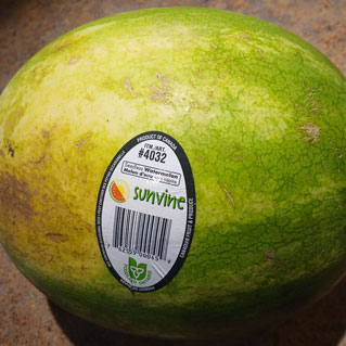 Watermelon
