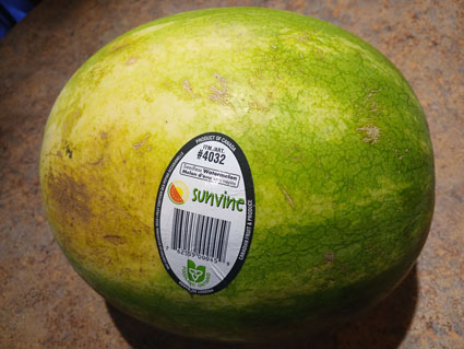 The Perfect Watermelon?