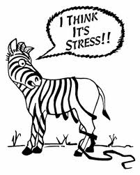 STRESS DONKEY