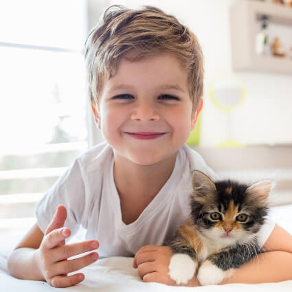 Little boy on bed holding cat