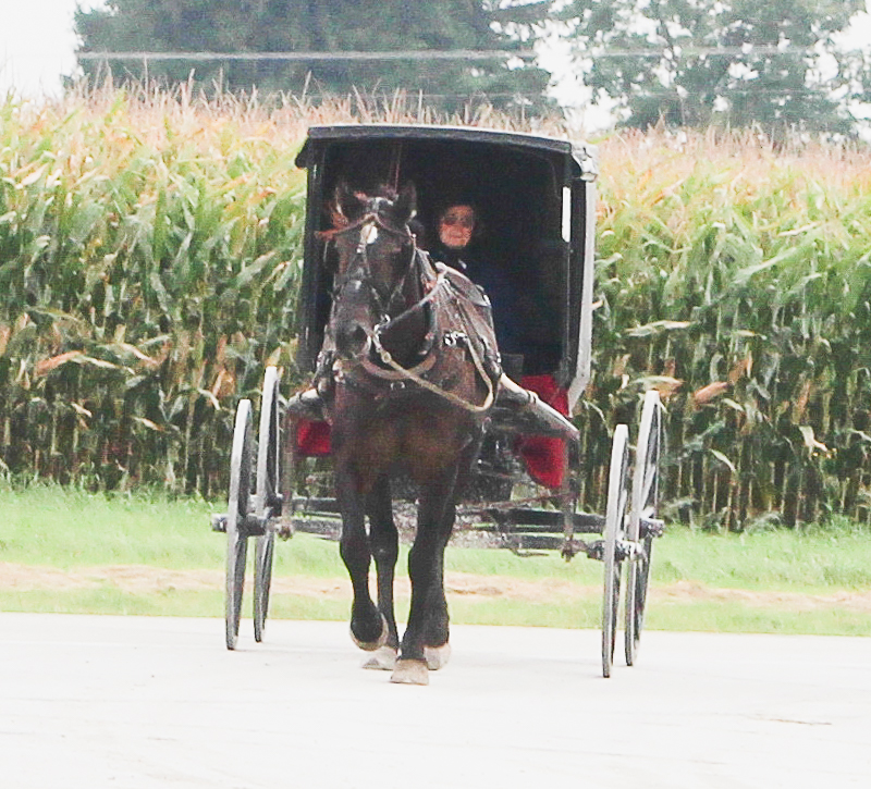 Amish Lady - Ken Swaim, 9/13/21