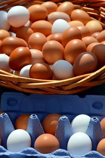 egg-2580929_640