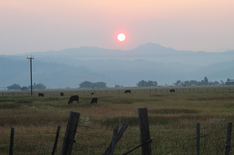 Sunrise, Donnelly, Idaho - Ken Swaim, 7/12/21