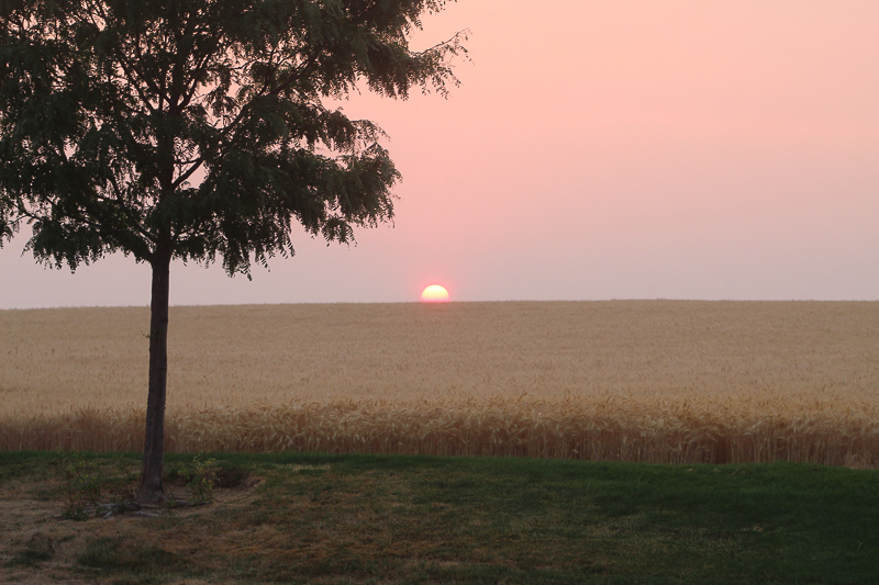 Sunrise at Mallard Park, Caldwell, Idaho - Ken Swaim, 7/14/21