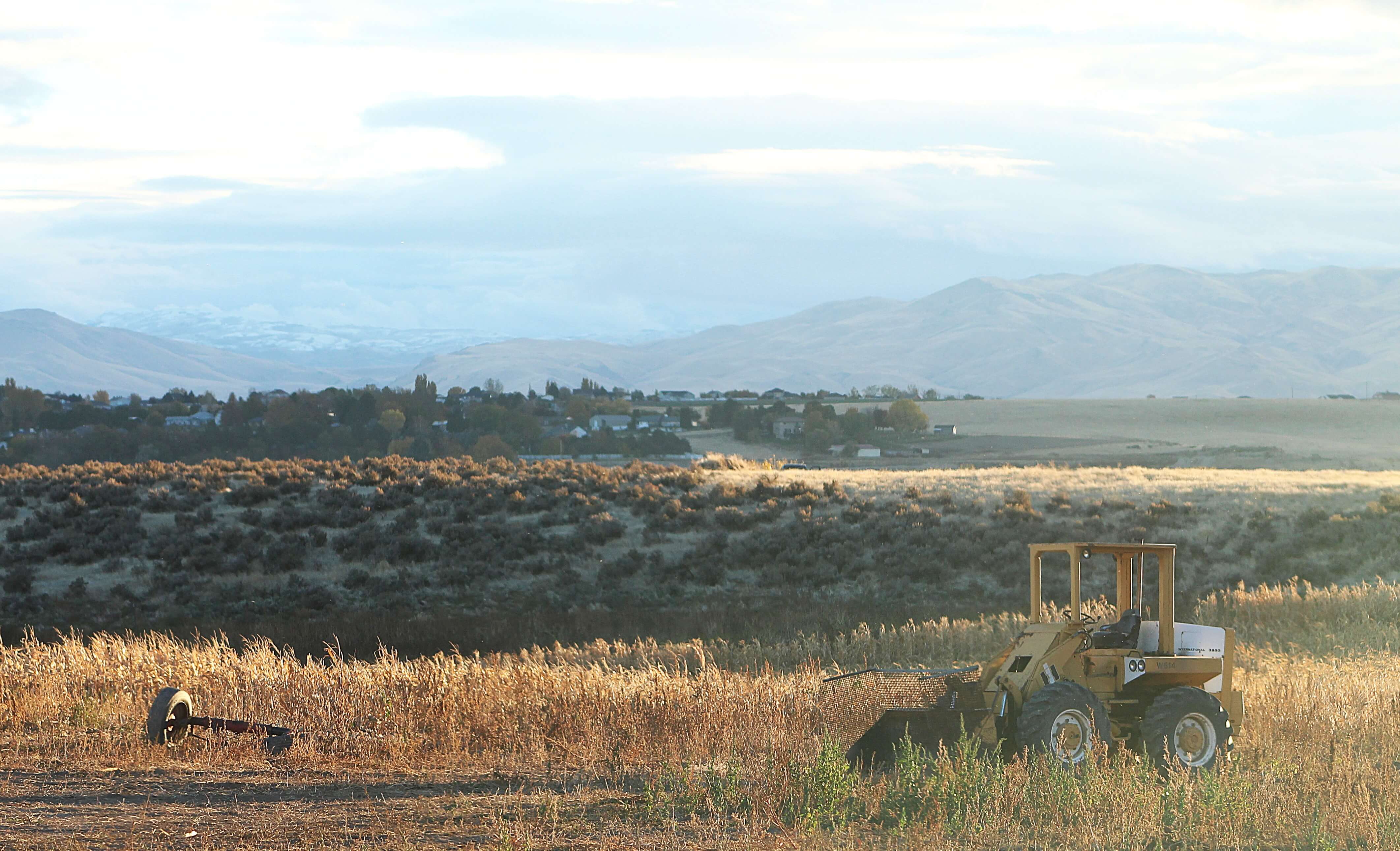 Ken Swaim, Tractor, 11/3/24