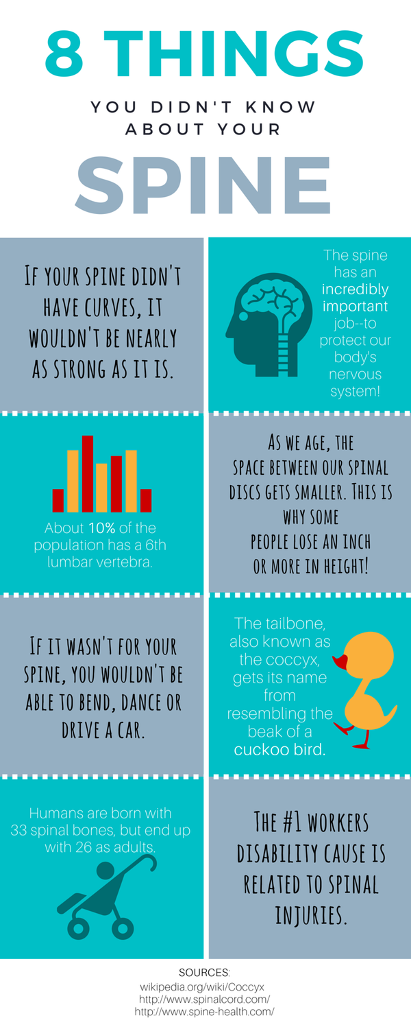 8 Spinal Facts Infographic
